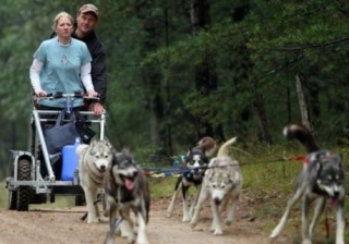  Mushing en verano con kart 